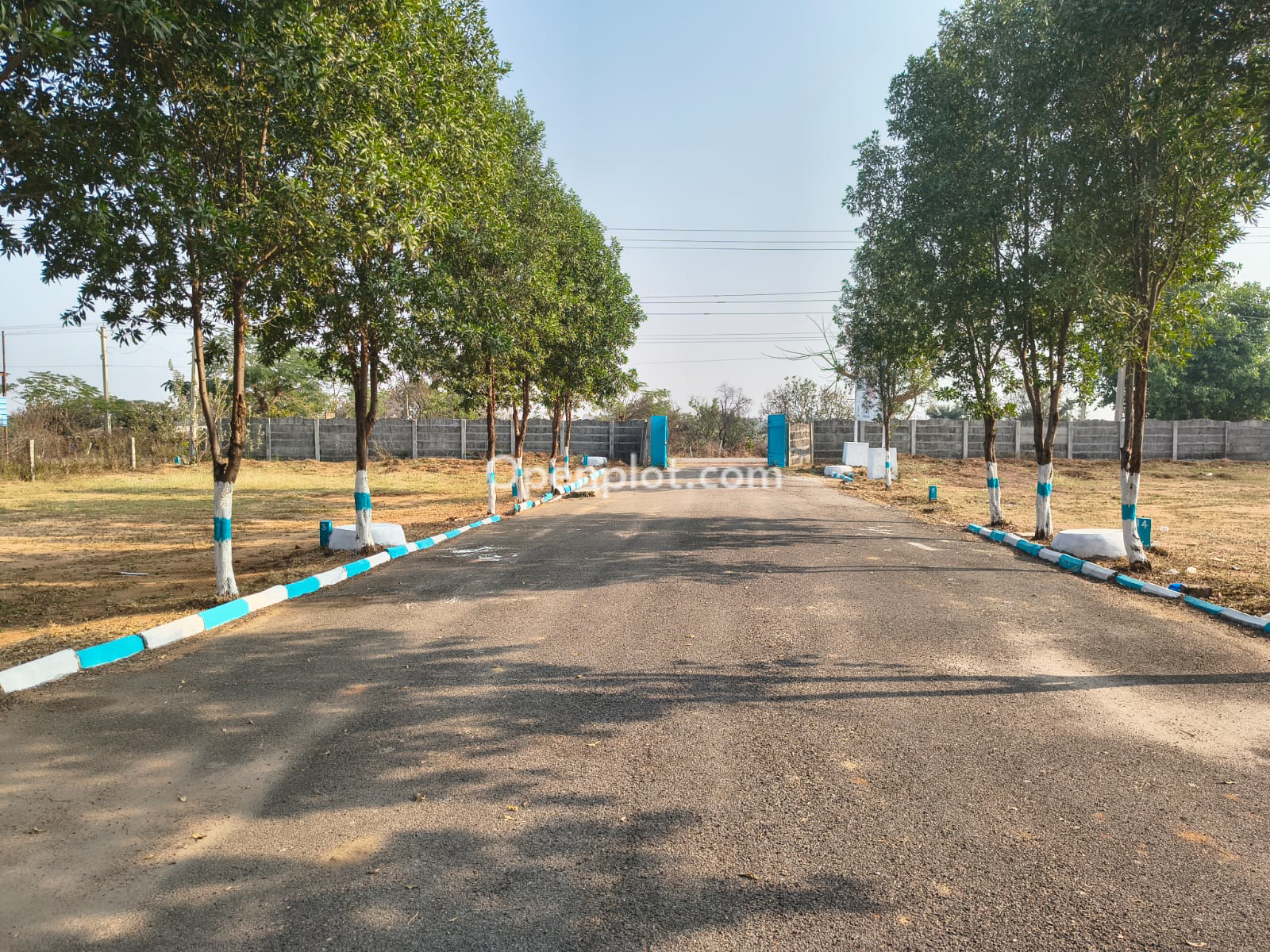 Venture for Sale in Shadnagar,Ranga Reddy